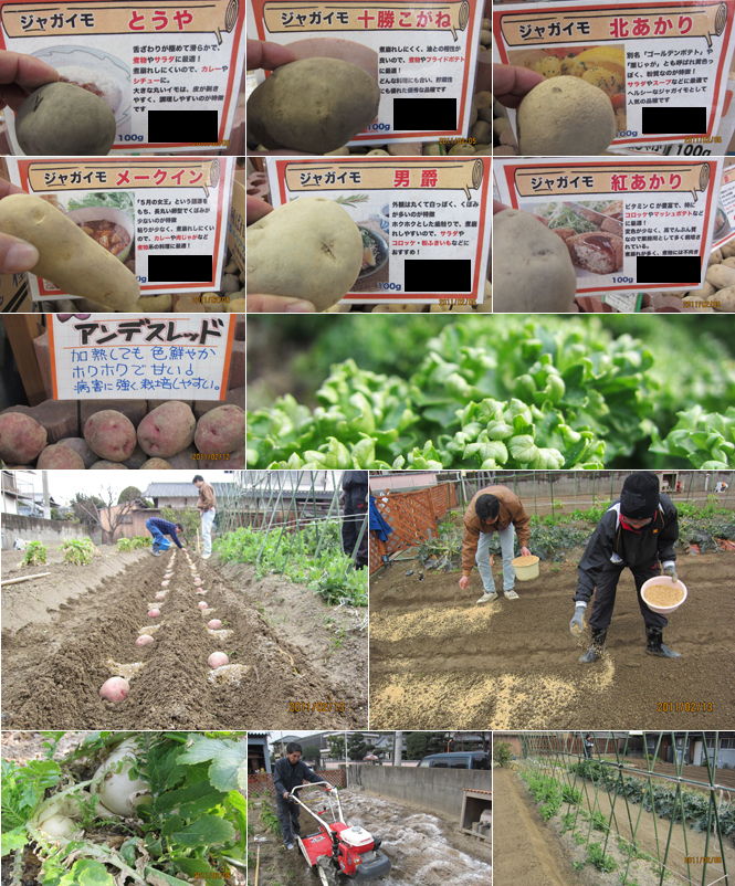 2011年 2月の様子